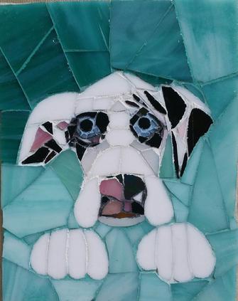 mosaic,dog,great dane, black, white, pet, puppy,