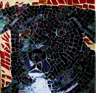mosaic,black,lab,dog,labrador,puppy,pet